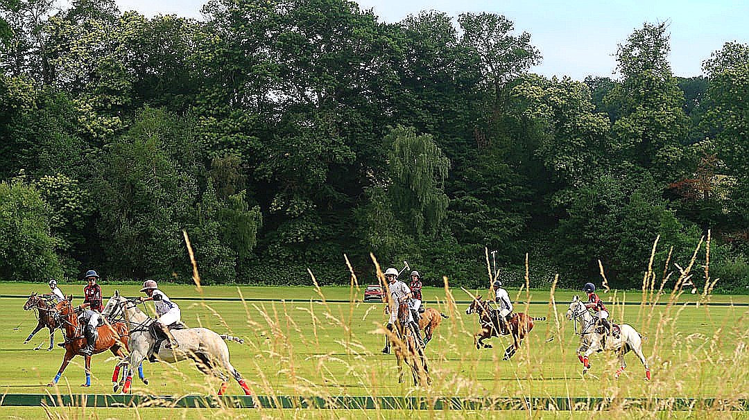 People are playing polo on horseback in the field.