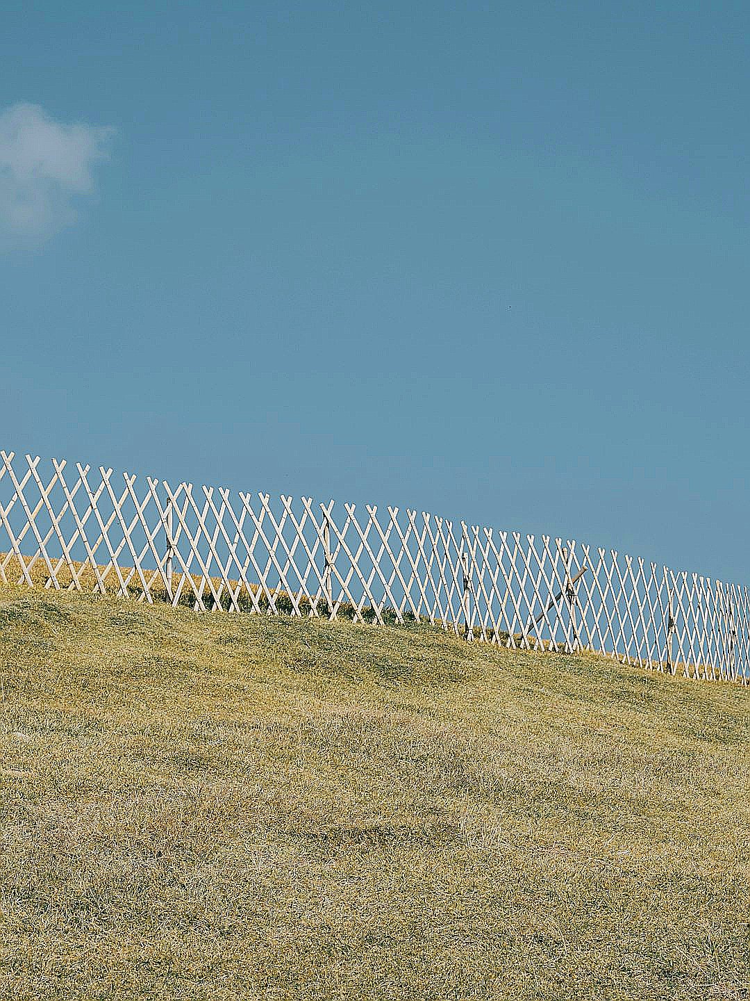A person riding a horse on a grassy hill