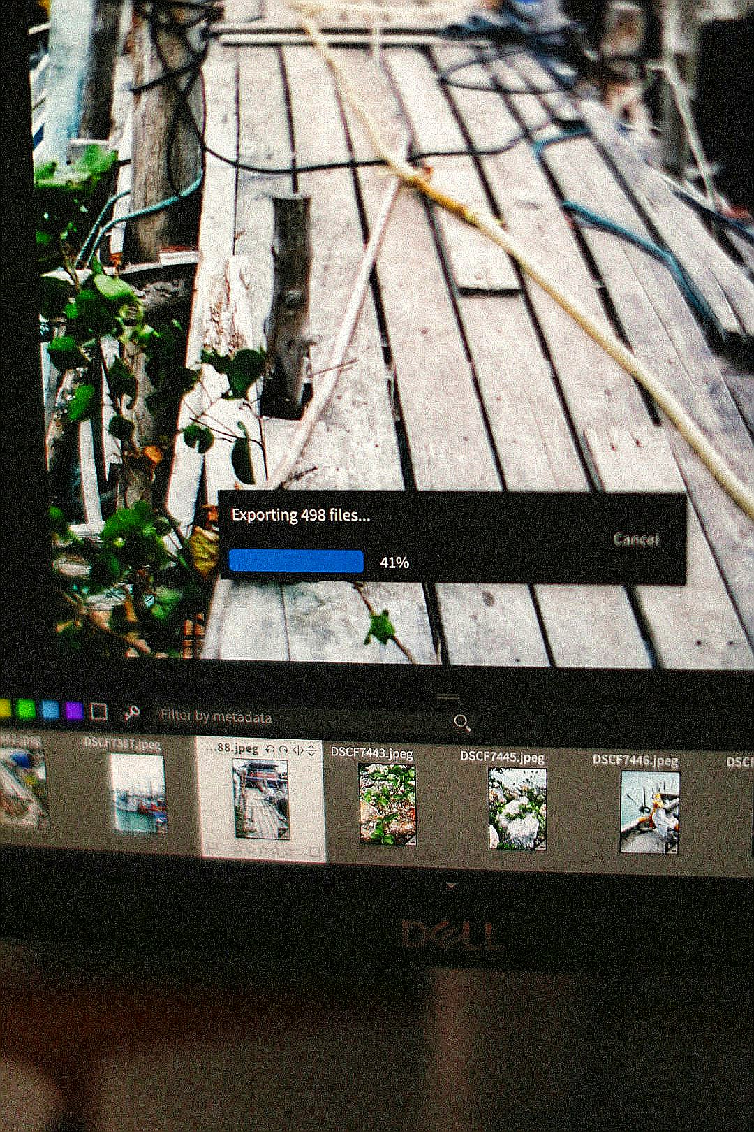 Files are currently being exported from the computer