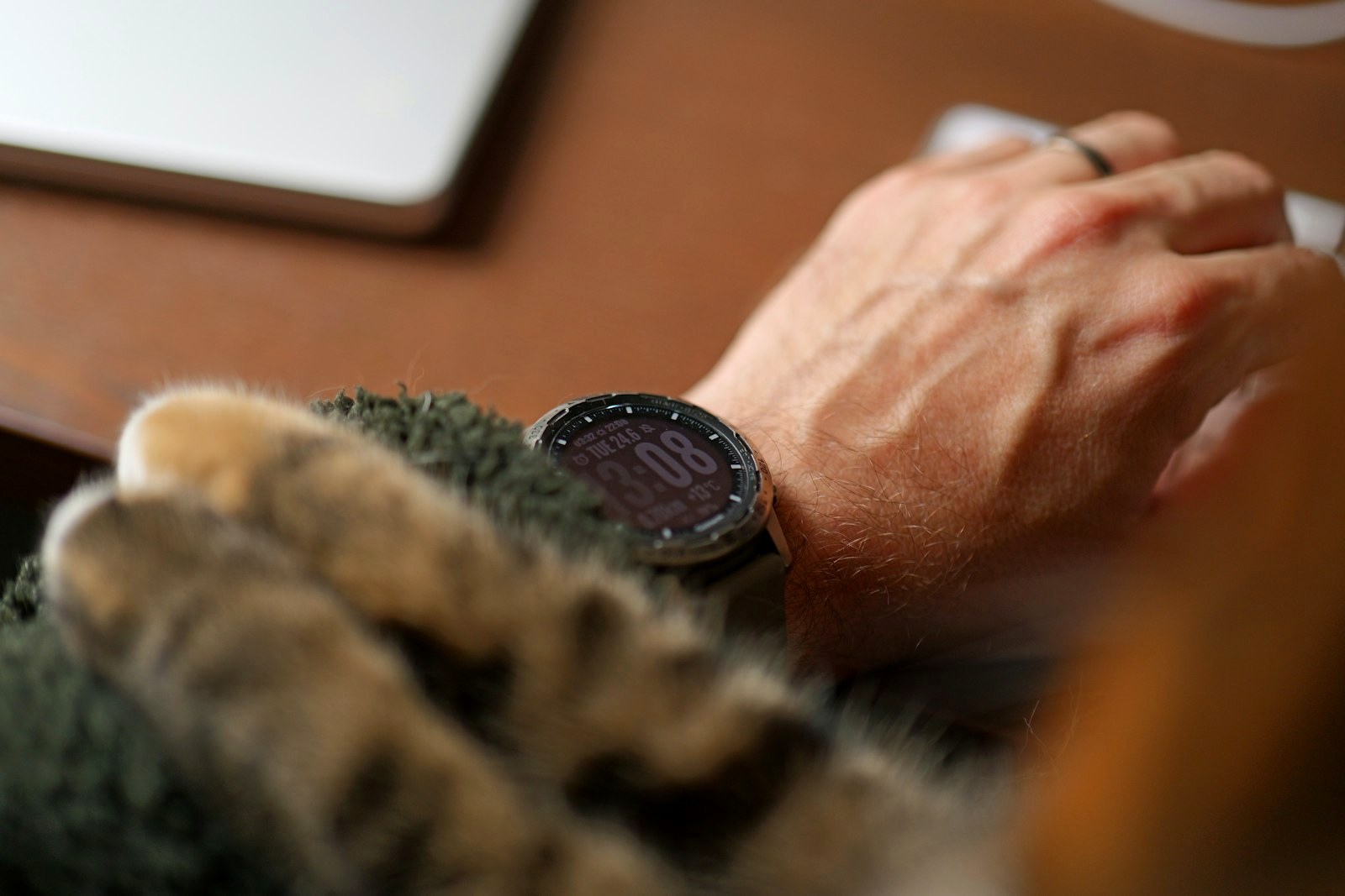 A hand working while a cat snuggles